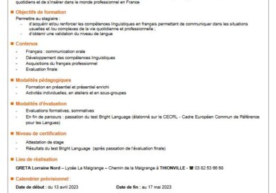 Français langues étrangères