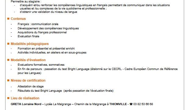 Français langues étrangères